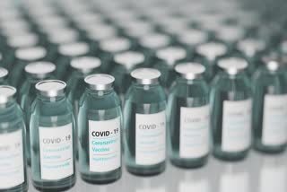 Covovax in India