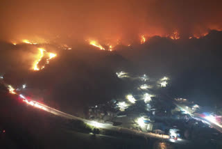 S. Korean wildfire destroys 90 homes