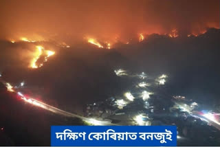 Wildfire in South Korea