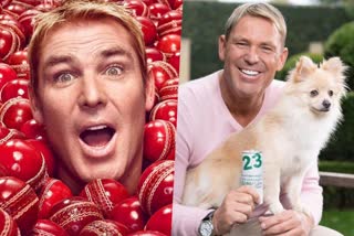 Shane Warne hollywood movie  Shane Warne biopic  Shane Warne movies  Shane Warne bollywood offer