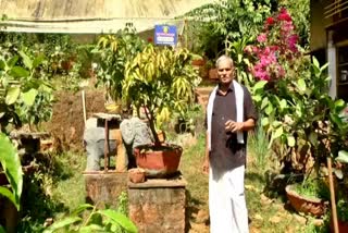 Kumuta person cultivation of medicinal plants by using of bonsai system