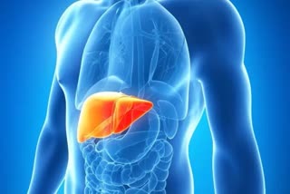 Fatty Liver: ଶ୍ବାସକ୍ରିୟାରେ କଷ୍ଟ ଅନୁଭବ ଯକୃତ ସମସ୍ୟାକୁ କରେ ଇଙ୍ଗିତ