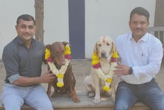 Surat Police Dog Retired : 'પ્રિન્સ અને અરુણા' પોલીસ બે ડોગ સેવા નિવૃત થયાં, ક્યાં મોકલાયા જાણો