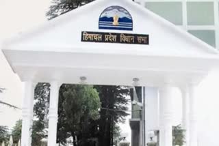 Rehabilitation Centers in Shimla