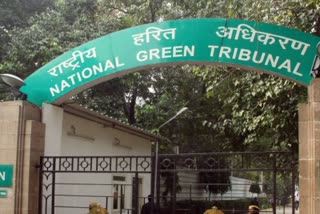 NGT strict on dumping of biomedical waste in Bhopal ponds and Bhoj wetland