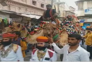 Famous international camel festival starts in Bikaner