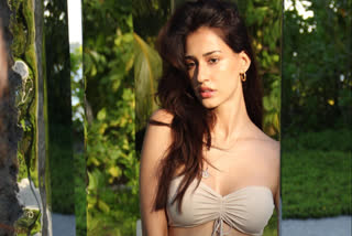 disha patani bikini pictures