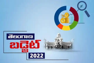 Telangana Budget