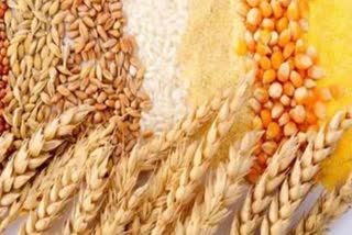 The Middle East will suffer from the grain shortage due to the war in Ukraine