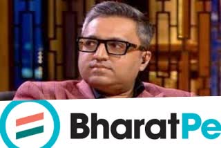 Controversy over Ashneer Grover and Bhavik Koldiya's stake in BharatPe