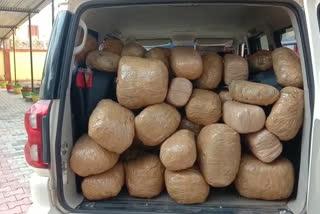 Two arrest for carrying huge quantity of ganja in Scorpio in Gumla