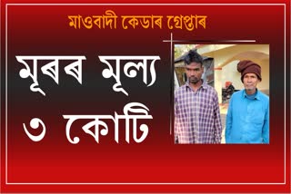 Maoist arrested by Assam police