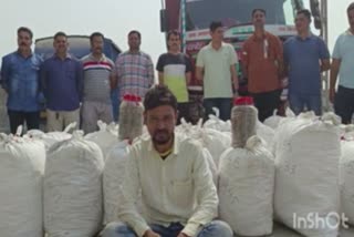 Cannabis seized from Surat: સુરતના સાયણથી 600કિલો ગાંજો ઝડપાયો, 70 લાખથી વધુનો મુદ્દામાલ પોલીસે કબજે કર્યો