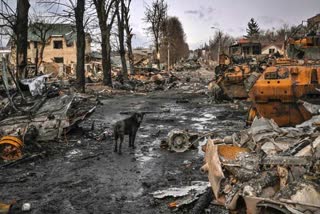 NY Times images of slain Ukrainian civilians show war's toll