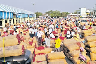 Desi chilli price reached 35 thousand for ton in telangana