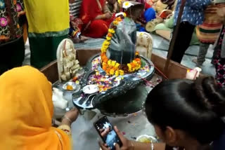 शिव के वाहन नंदी पी रहे दूध