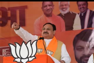 BJP President JP Nadda in Madhya Pradesh