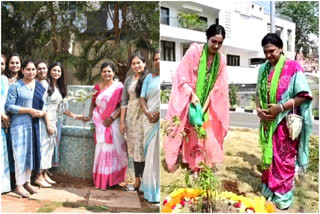 Plantation on Women's day