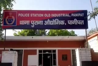 Dead body found in Panipat