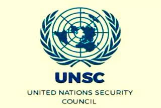 UNSC failed to fulfill its obligations when needed due to use of veto: G4