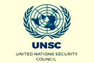 વીટોના ​​ઉપયોગને કારણે UNSC તેની જવાબદારીઓને પૂર્ણ કરવામાં નિષ્ફળ ગયું : G4