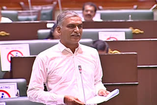 Harish Rao About Budget 2022