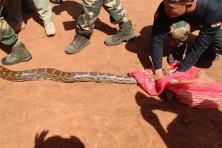 Python in Hazaribag BSF Training Center