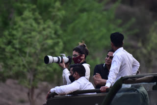 Stars in Jhalana Safari Park