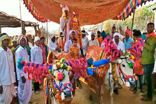 bullock cart as dowry