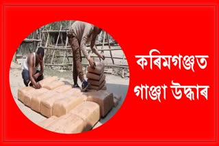 ganza-seized-at-indo-tripura-border-at-karimganj