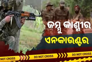 ପୁଲୱାମାରେ ସୁରକ୍ଷାକର୍ମୀ- ଆତଙ୍କବାଦୀଙ୍କ ମଧ୍ୟରେ ଗୁଳି ବିନିମୟ