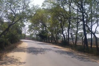 naxal bandh in palamu