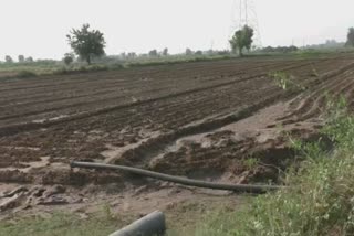 Planting of Summer Crops : મહેસાણમાં ઉનાળુ વાવેતરનો પ્રારંભ, 8 હજાર હેકટરમાં વાવેતર નોંધાયું