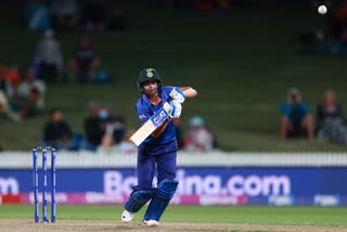 New Zealand beat India, India vs New Zealand, Women's World Cup updates, New Zealand score