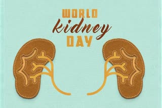 World Kidney Day 2022 theme, Kidney health for all, how to maintain kidney health, kidney health tips, what is chronic kidney disease, what is dialysis