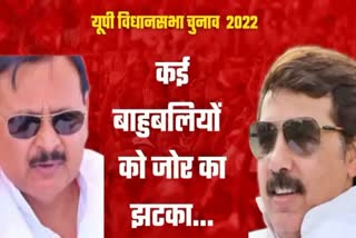 many bahubali candidates lost in up assembly elections 2022