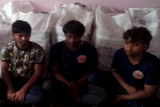 Hemp Smugglers arrested in Chittorgarh