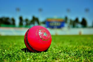 Pink Ball Test  Cricket news  खेल समाचार  पिंक बॉल टेस्ट  डे नाइट टेस्ट  भारत बनाम श्रीलंका टेस्ट  लाल और पिंक बॉल में अंतर  पिंक बॉल टेस्ट मैच में भारत का रिकॉर्ड  भारतीय क्रिकेट टीम  Indian Cricket Team  India record in pink ball test match  India vs Sri Lanka test  difference between red and pink ball  day night test