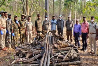 Tiger found dead in Nagarahole