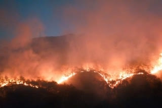 S.Korea: Wildfires on east coast burn nearly 24,000 hectare of woodland