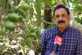 cardamom Farmers Statement on state budget  cardamom Farmers in Kerala  ഏലം മേഖലയോടെ അവഗണനയെന്ന് കര്‍ഷകര്‍  ഏലം മേഖലയെ പരിഗണിക്കാതെ ബജറ്റ്