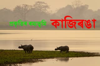 The Kaziranga National Park