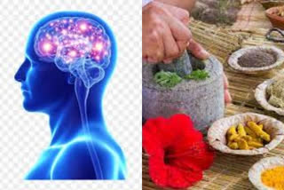 ayurvedic tips for brain