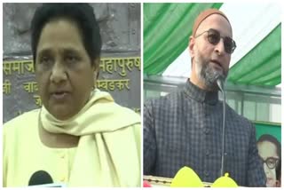 Mayawati Owaisi contributed bjp win