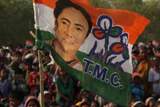 tmc candidate in goa quits party after attacks on leadership and ipac