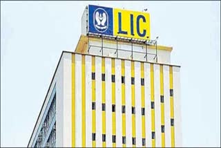 lic ipo