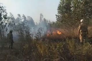 Fire in Jamgara Paschim Bardhaman
