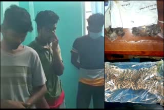 eopard killed in Siliguri, leopard meat eat in Siliguri, West Bengal crime news, ಸಿಲಿಗುರಿಯಲ್ಲಿ ಚಿರತೆ ಕೊಂದ ದುಷ್ಕರ್ಮಿಗಳು, ಸಿಲಿಗುರಿಯಲ್ಲಿ ಚಿರತೆ ಮಾಂಸ ತಿಂದ ಕಿರಾತಕರು, ಪಶ್ಚಿಮ ಬಂಗಾಳ ಅಪರಾಧ ಸುದ್ದಿ,