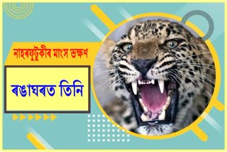 3-people-are-arrest-on-leopard-killed-in-siliguri