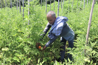 natural farming in himachal